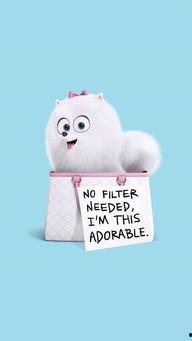 爱宠大机密啾啾背景,揭秘爱宠大机密中的神秘小精灵