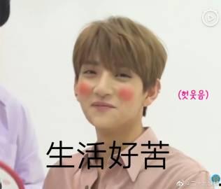 seventeen动态表情包,捕捉偶像魅力瞬间